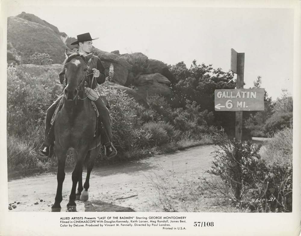 荒野の無頼漢の画像