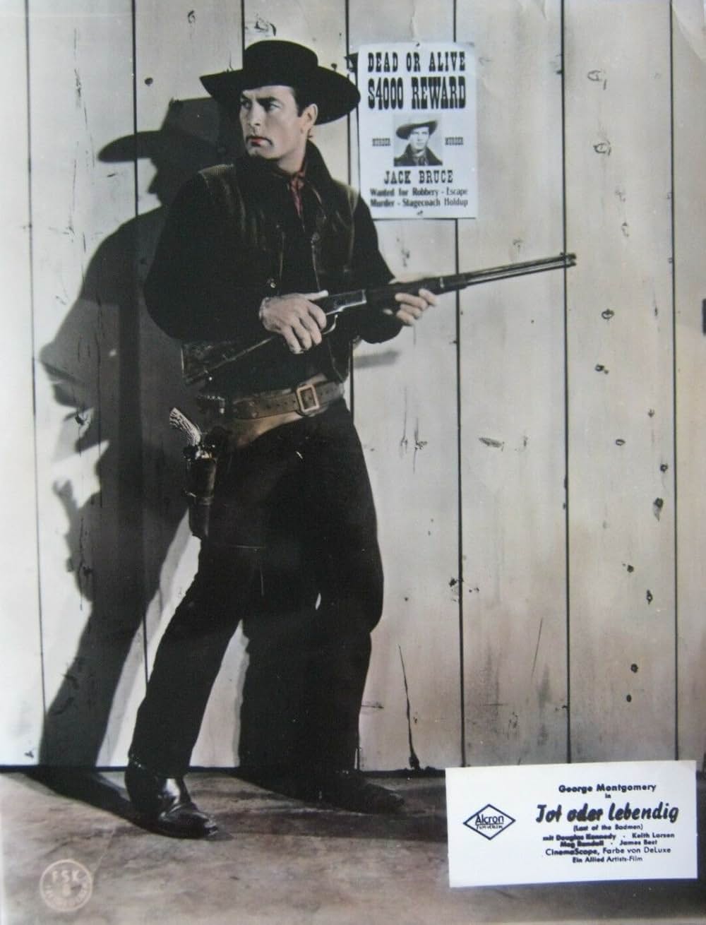 荒野の無頼漢の画像