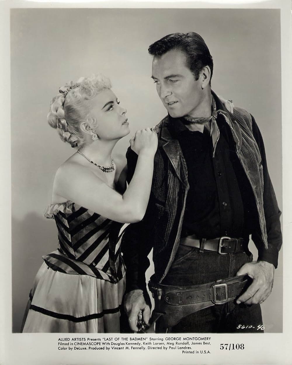 荒野の無頼漢の画像