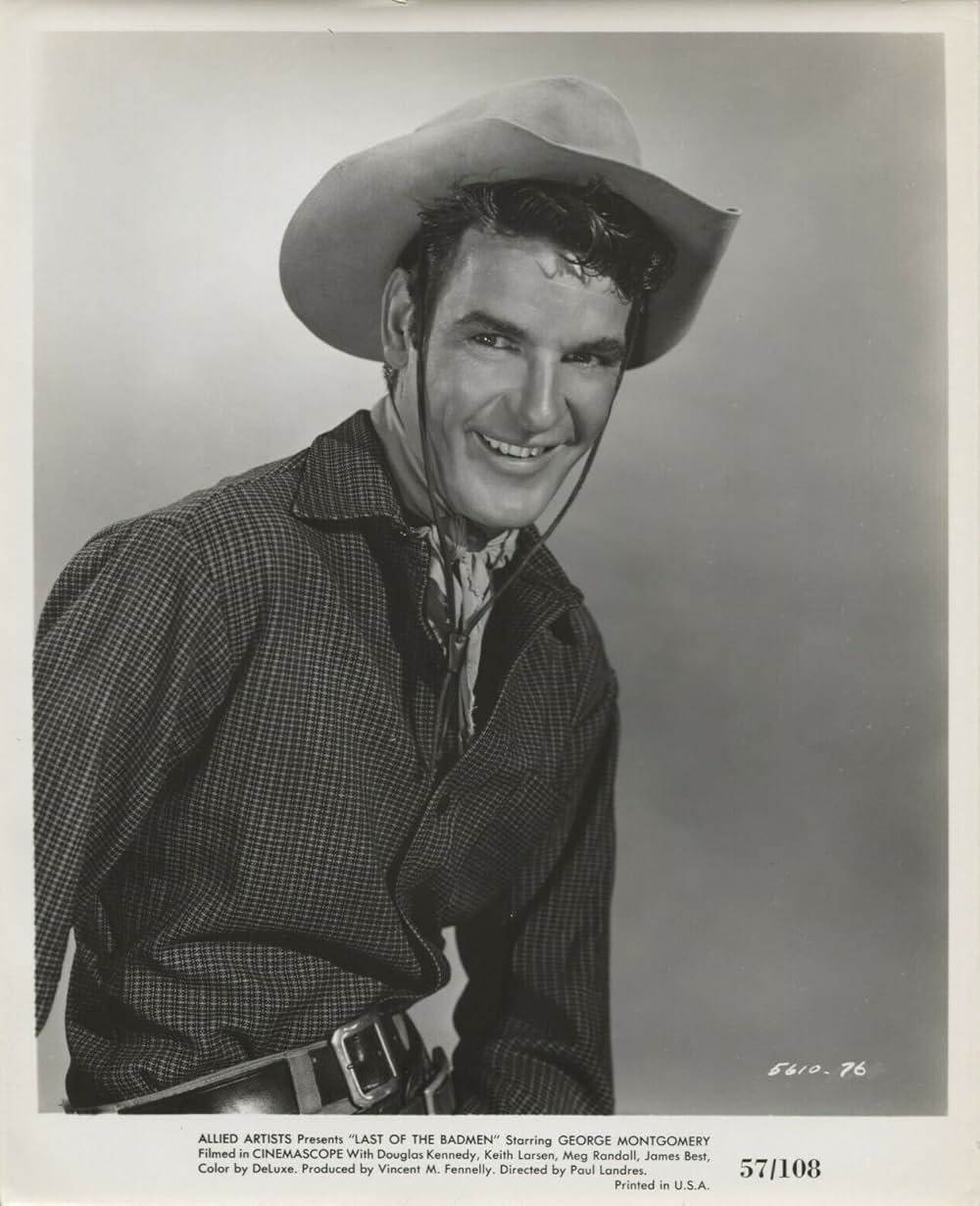 荒野の無頼漢の画像