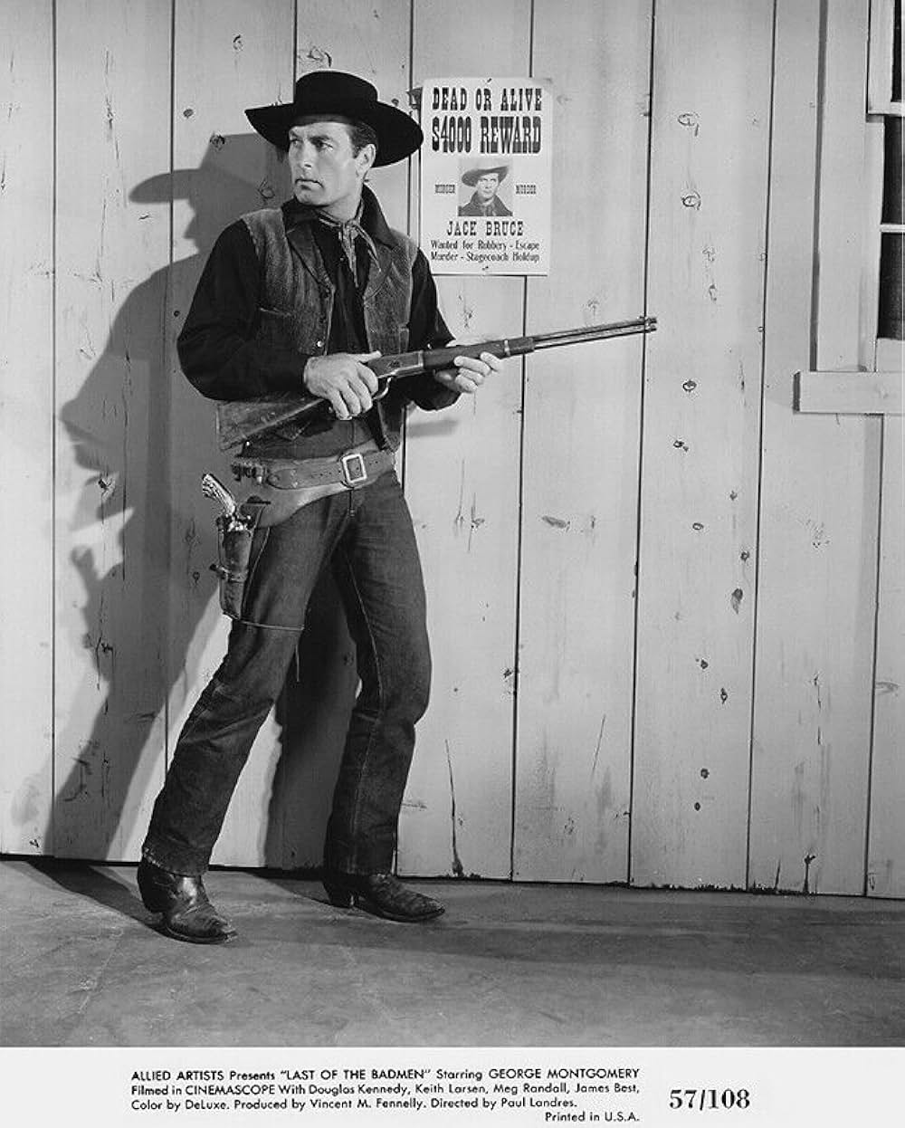 荒野の無頼漢の画像