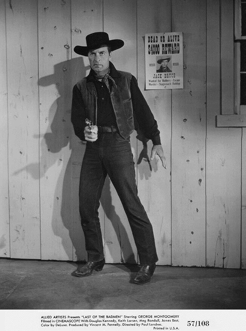 荒野の無頼漢の画像