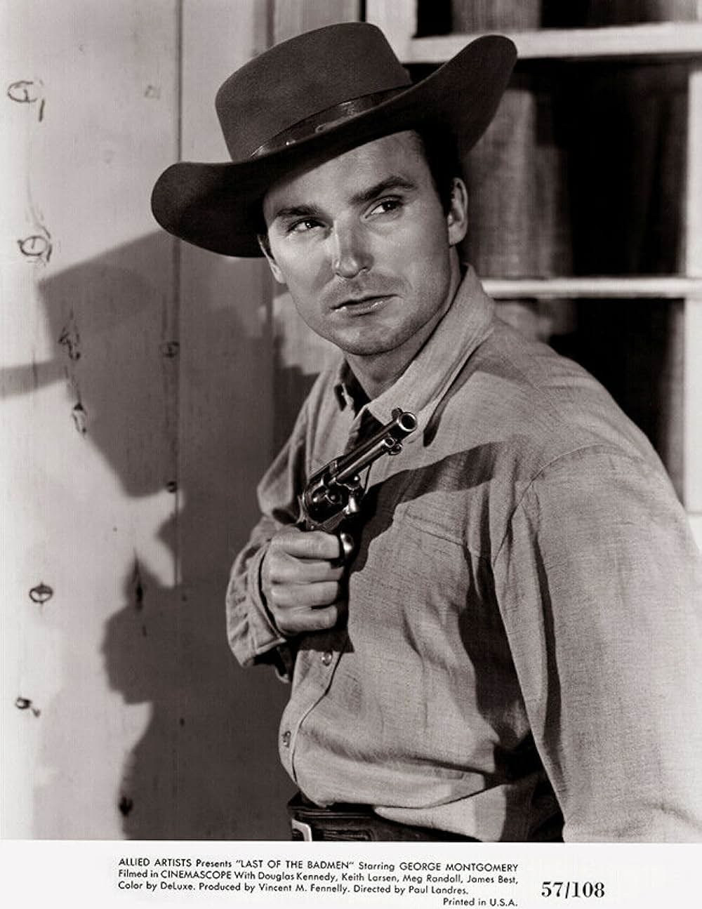 荒野の無頼漢の画像