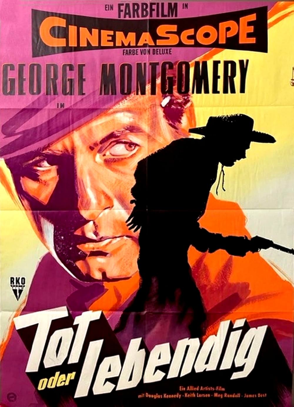 荒野の無頼漢の画像