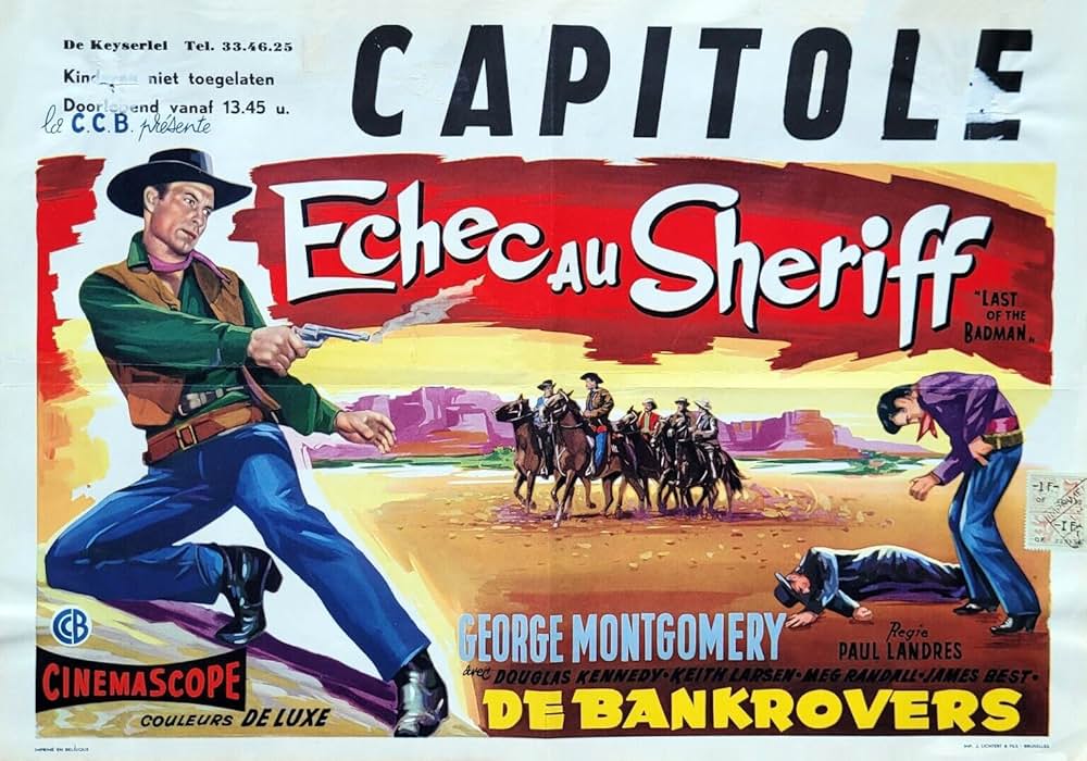 荒野の無頼漢の画像