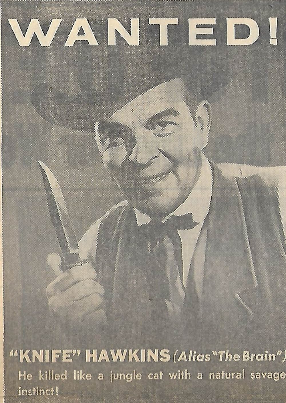 荒野の無頼漢の画像