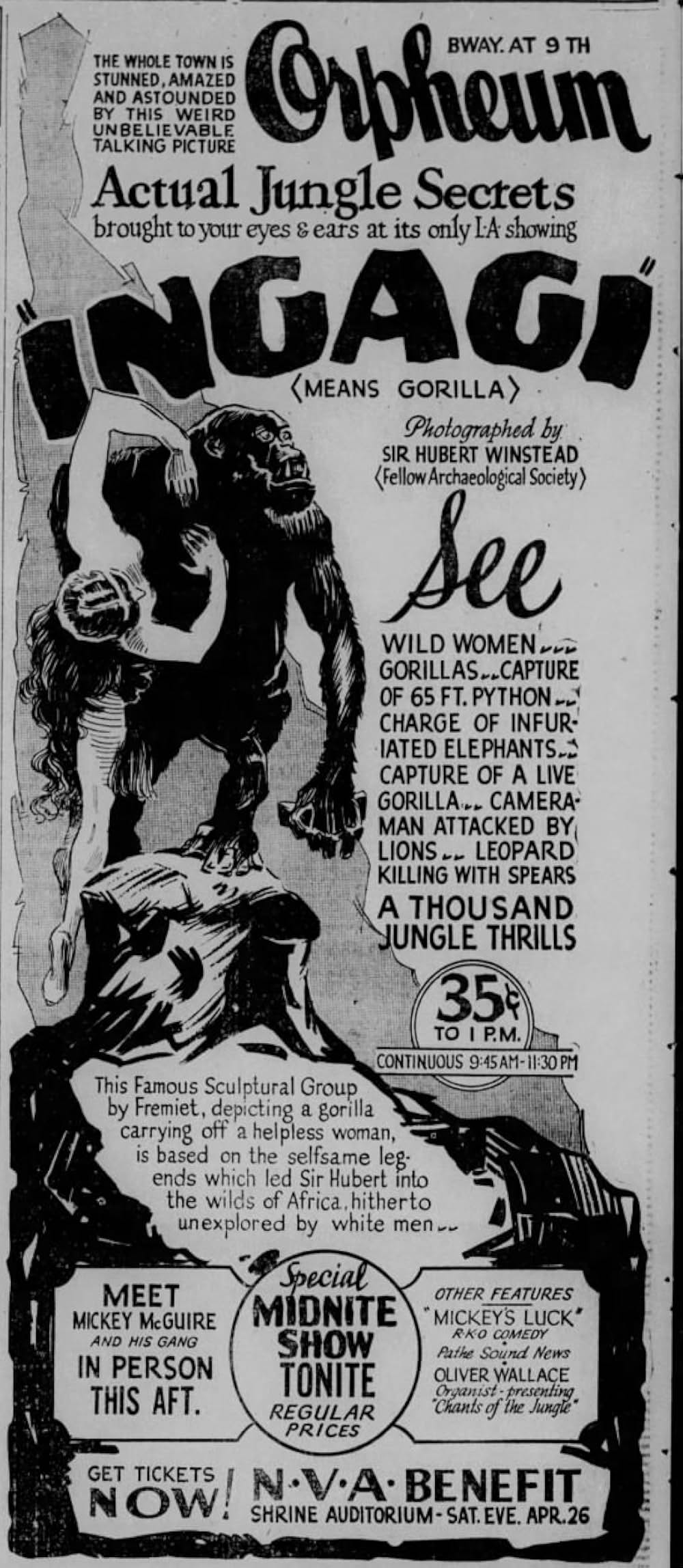 インガギの画像