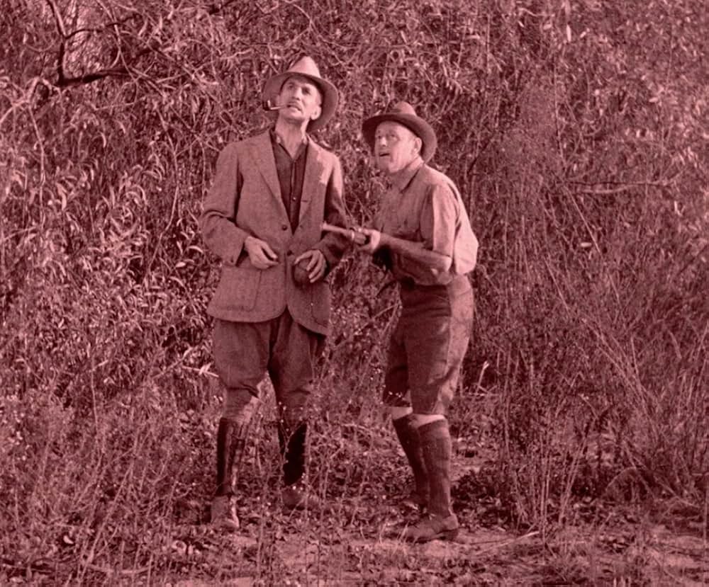 インガギの画像