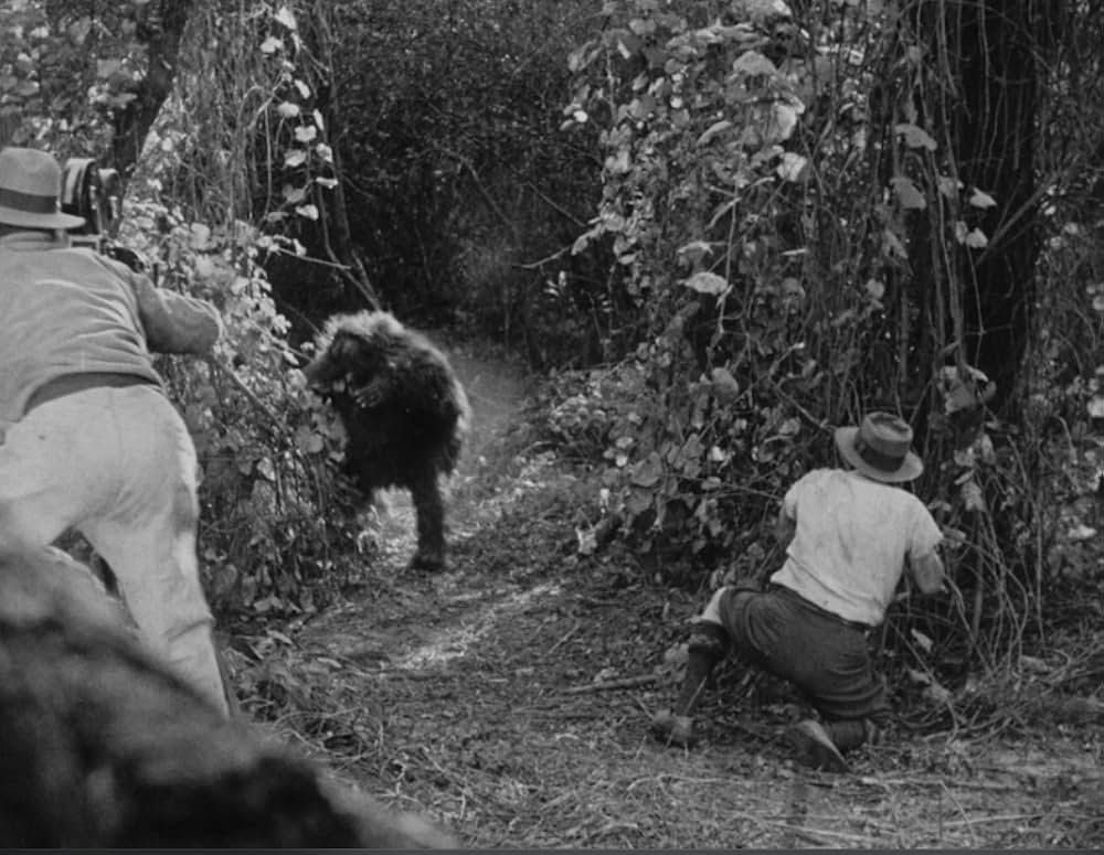 インガギの画像