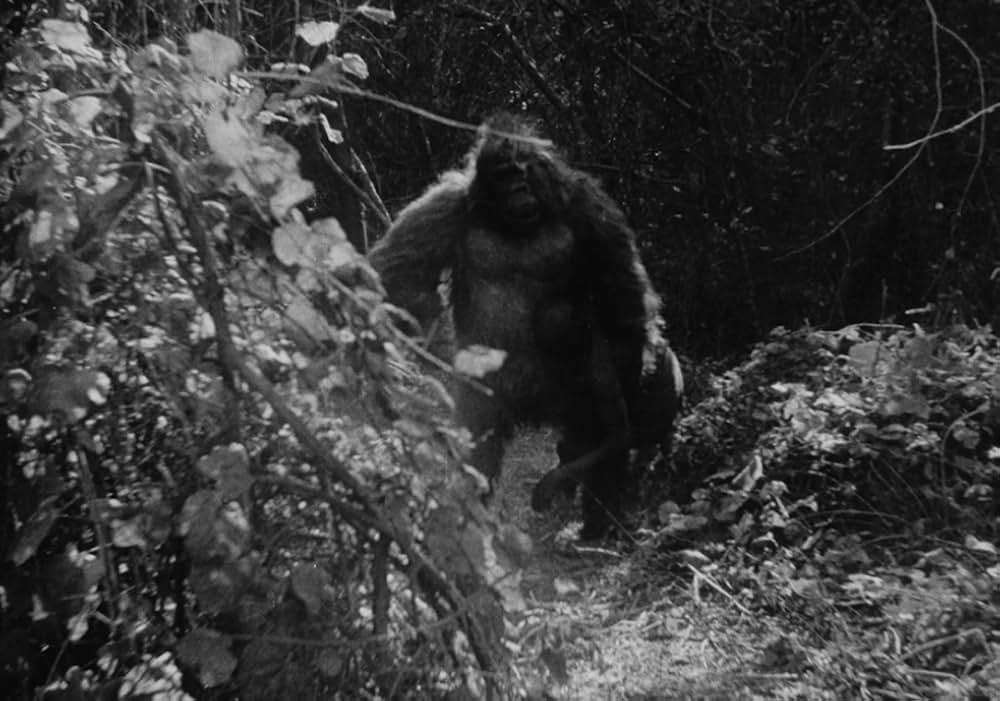 インガギの画像