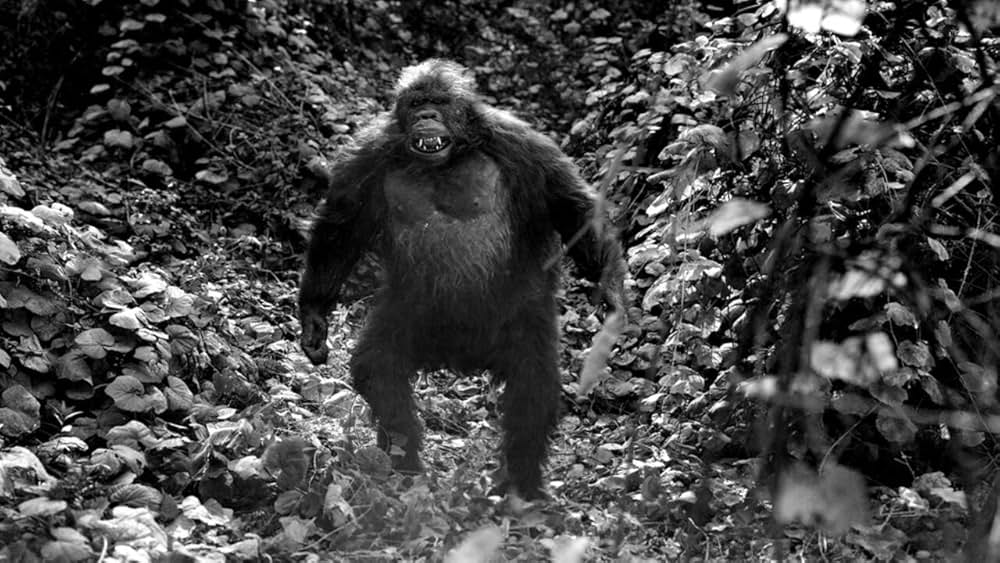 インガギの画像