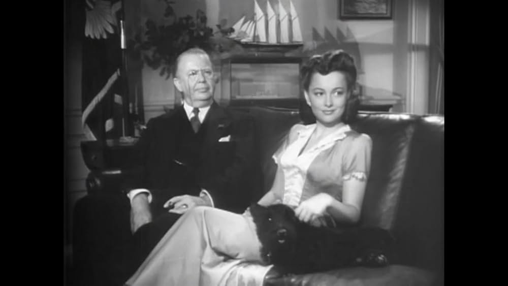 カナリヤ姫の画像