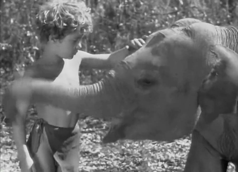 ターザンの猛襲の画像