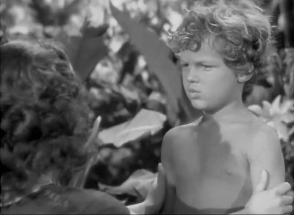 ターザンの猛襲の画像