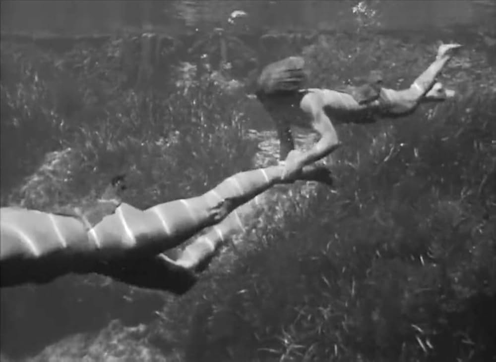 ターザンの猛襲の画像