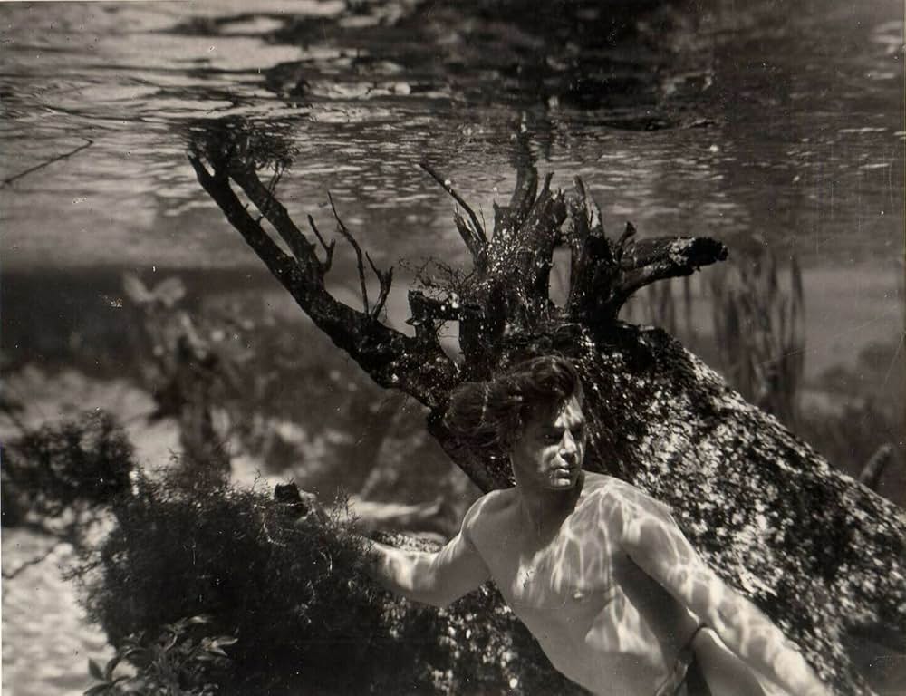 ターザンの猛襲の画像