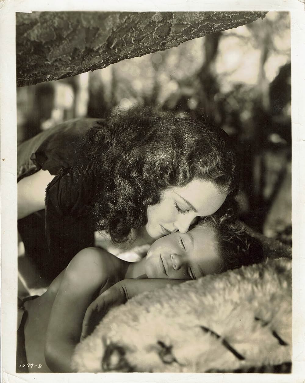 ターザンの猛襲の画像