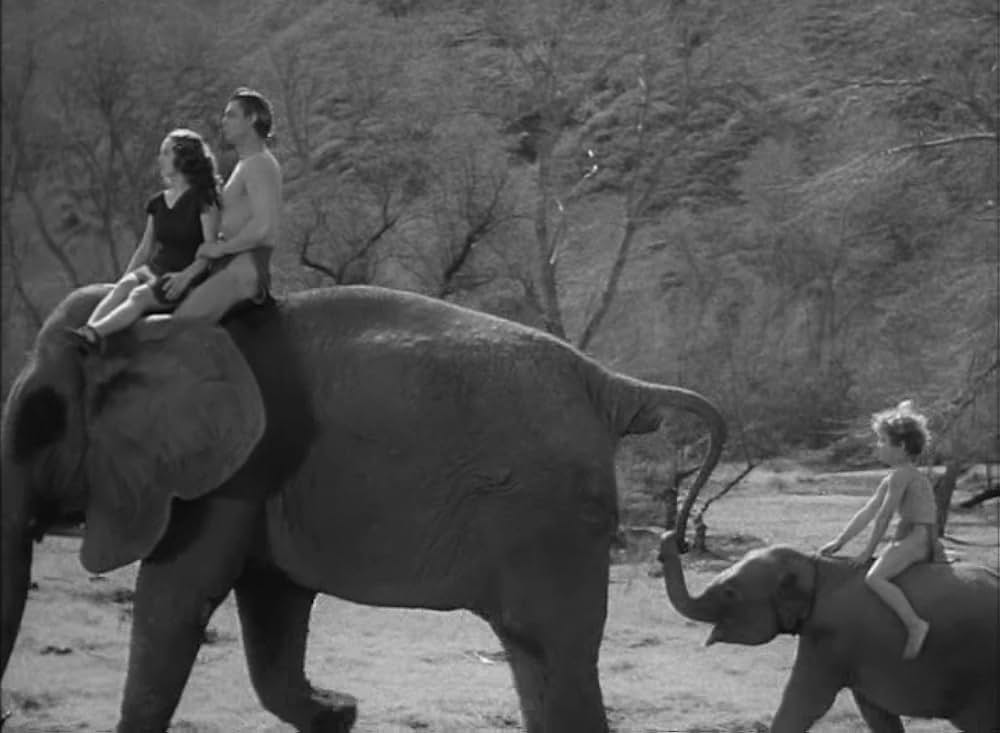 ターザンの猛襲の画像