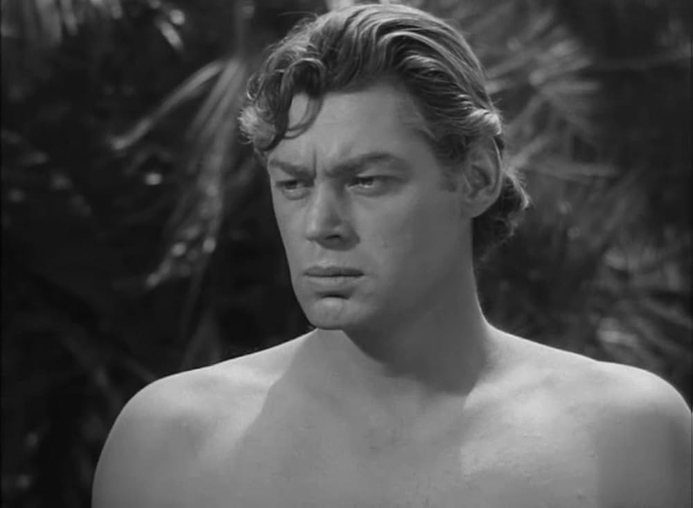 ターザンの猛襲の画像