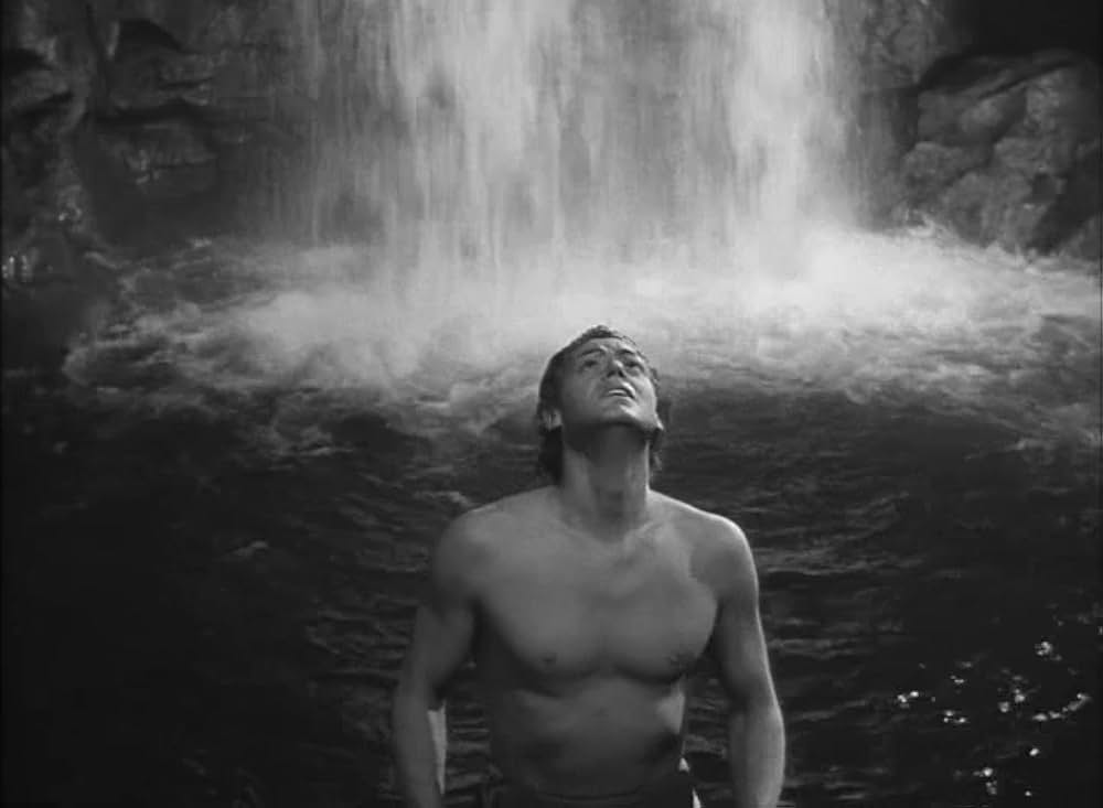 ターザンの猛襲の画像