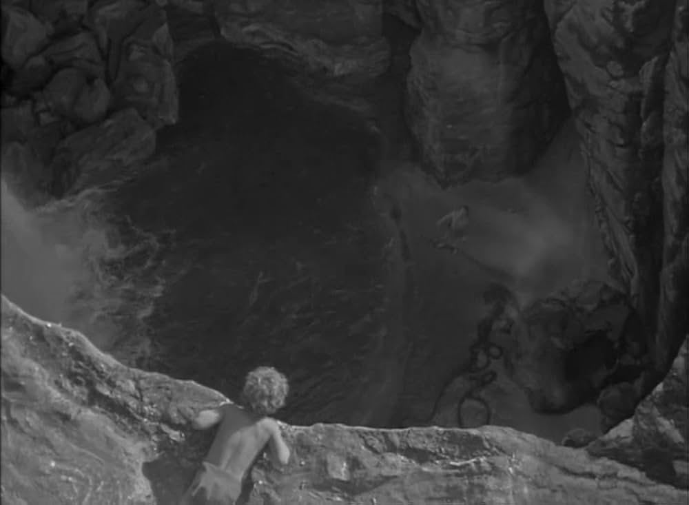 ターザンの猛襲の画像