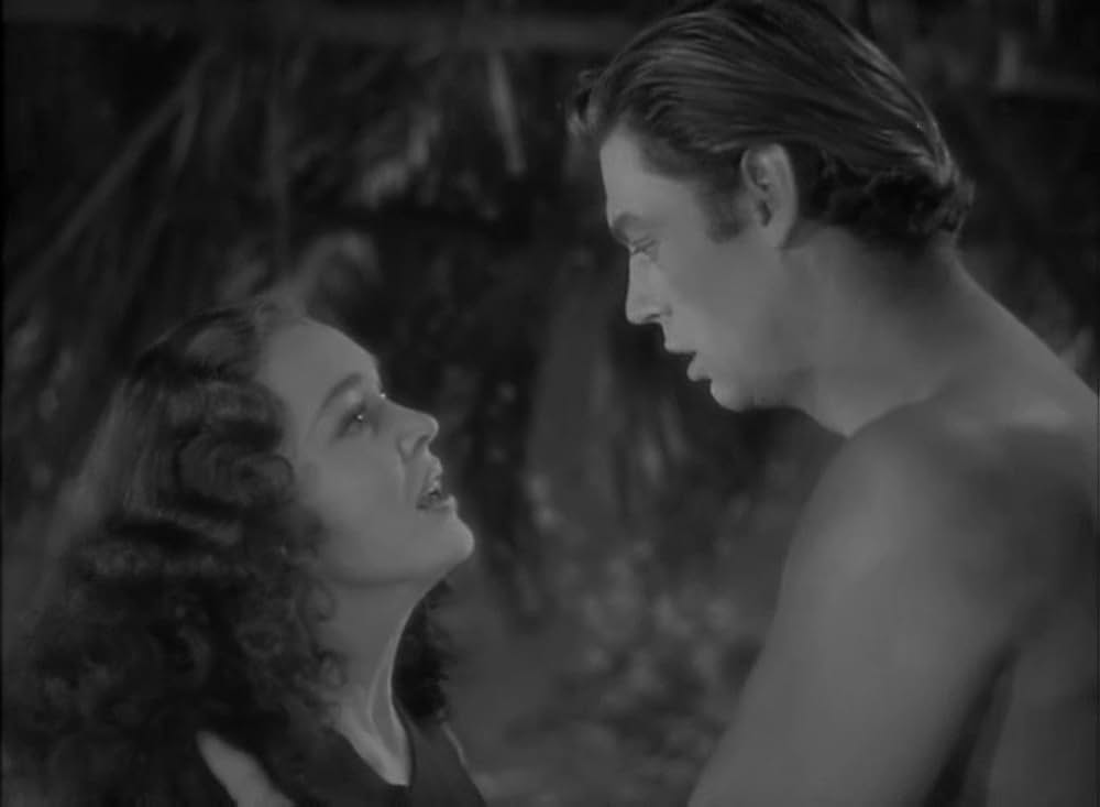 ターザンの猛襲の画像