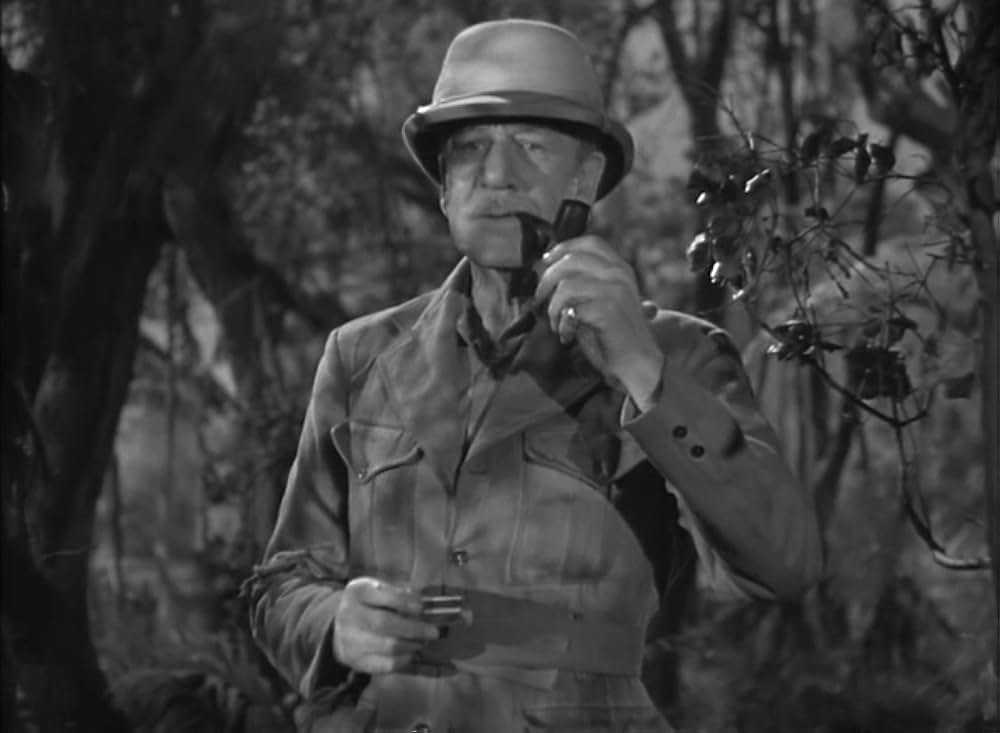 ターザンの猛襲の画像