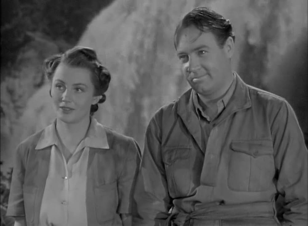 ターザンの猛襲の画像