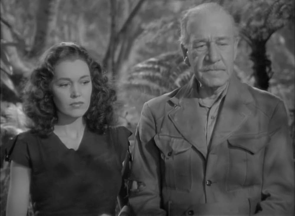 ターザンの猛襲の画像