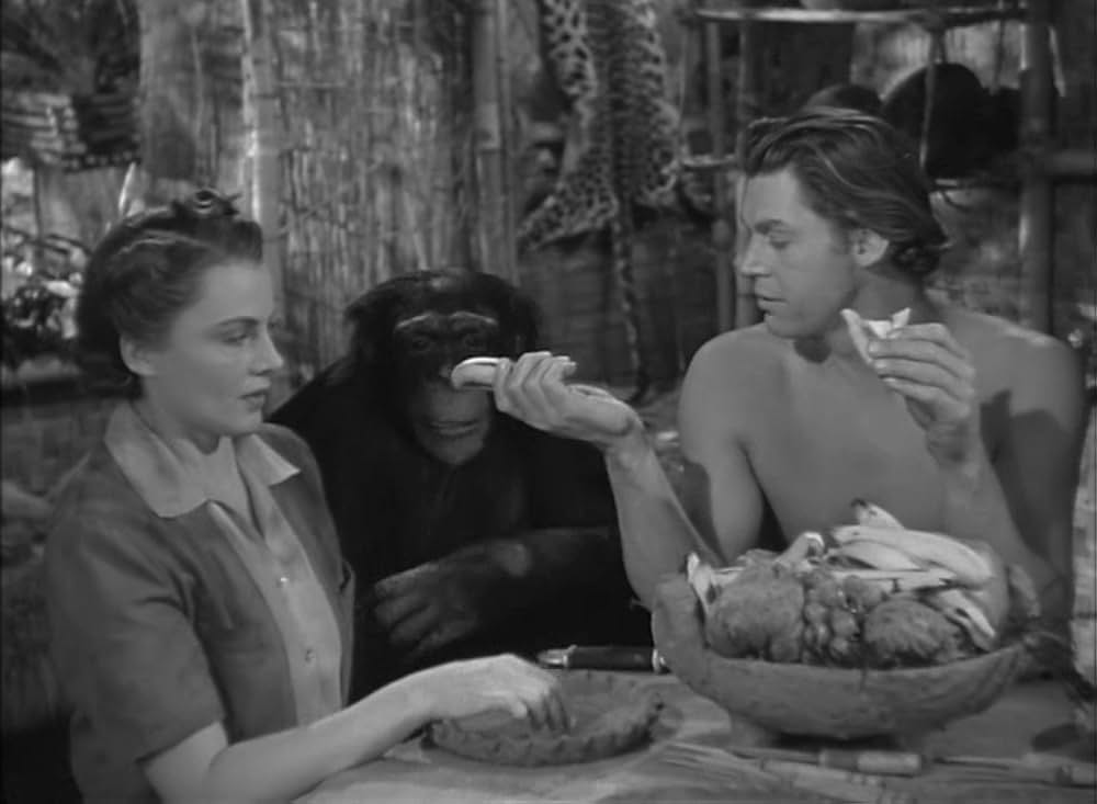 ターザンの猛襲の画像