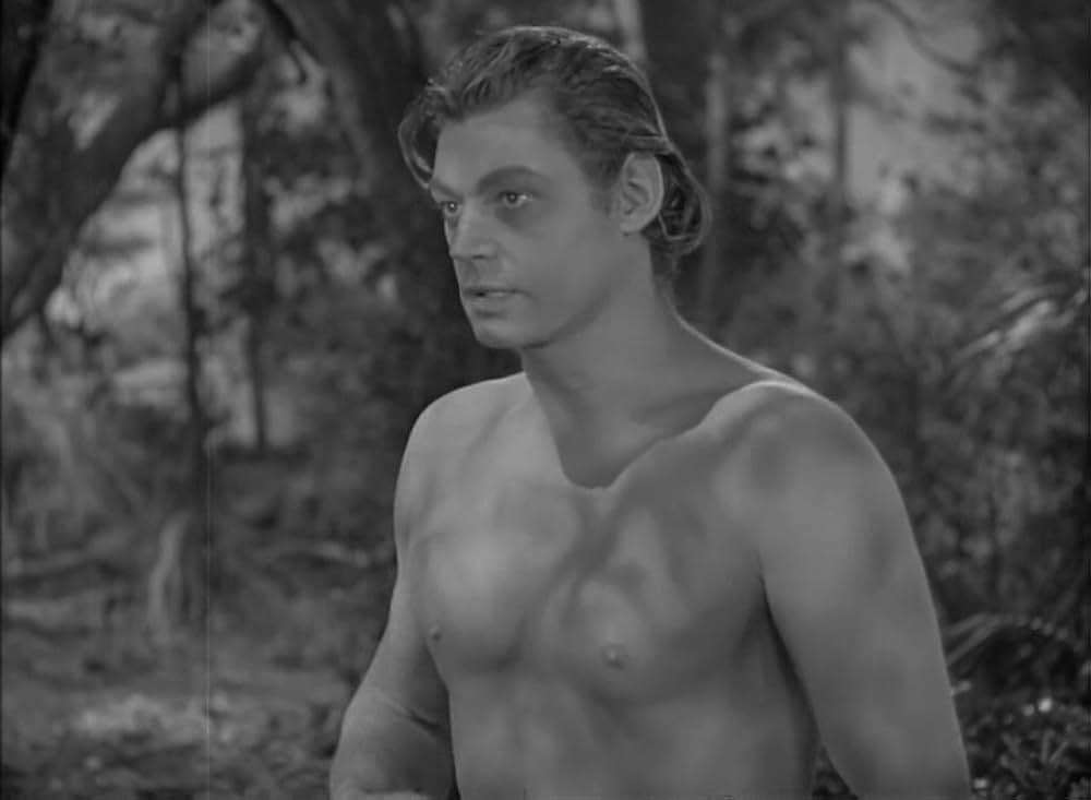 ターザンの猛襲の画像