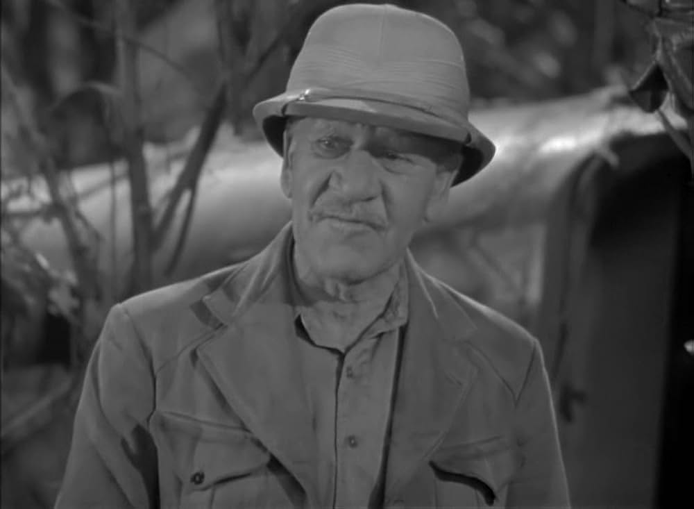 ターザンの猛襲の画像