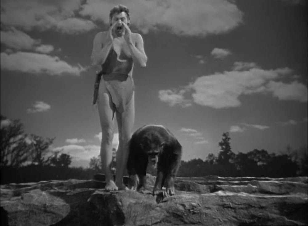 ターザンの猛襲の画像