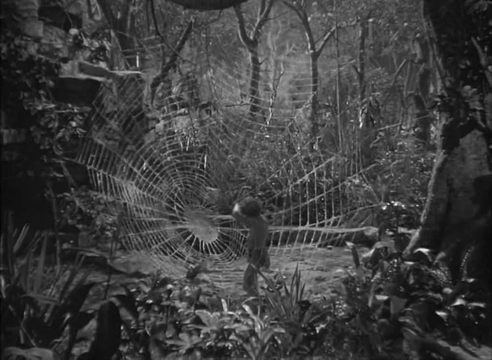 ターザンの猛襲の画像