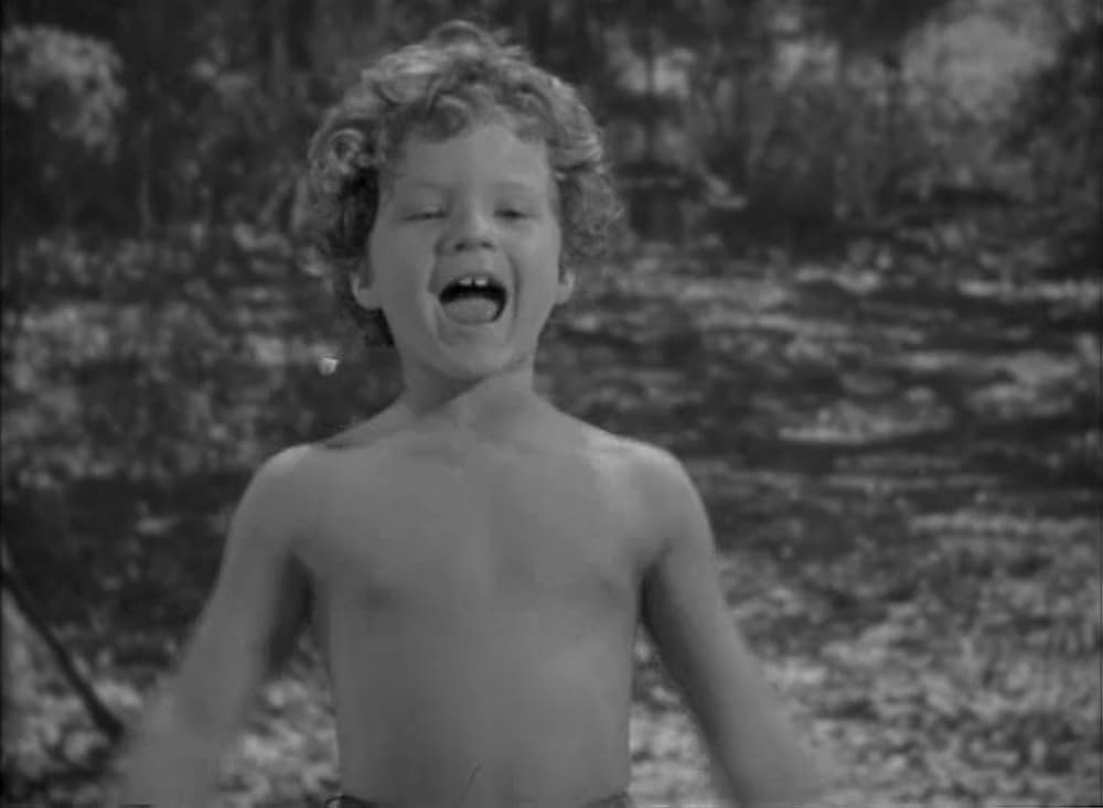 ターザンの猛襲の画像