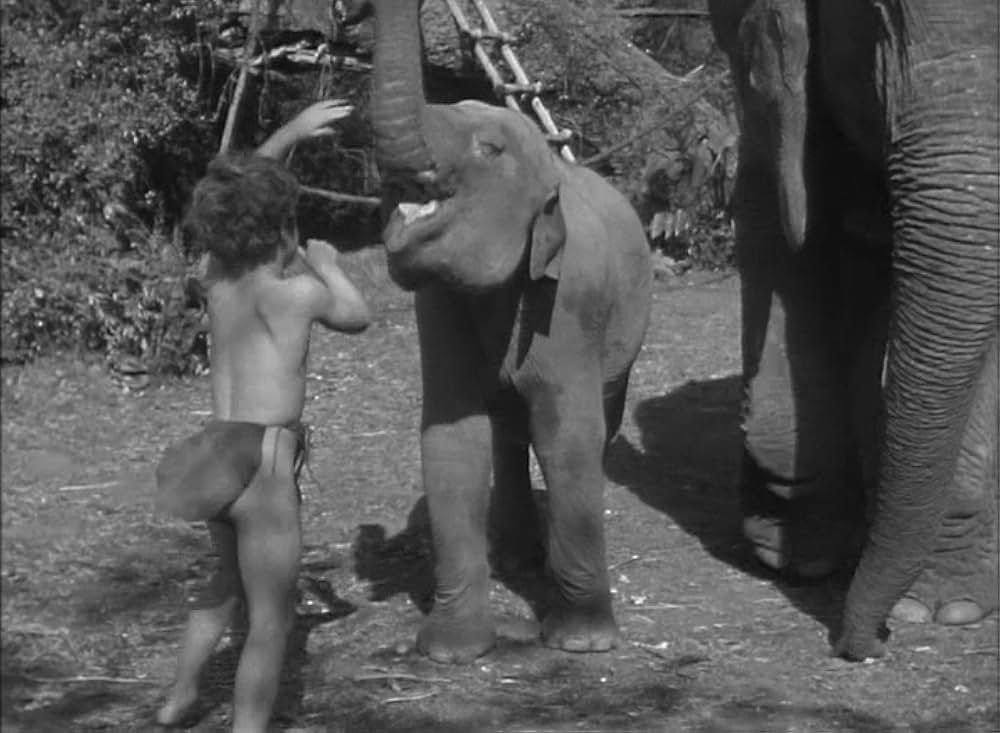 ターザンの猛襲の画像