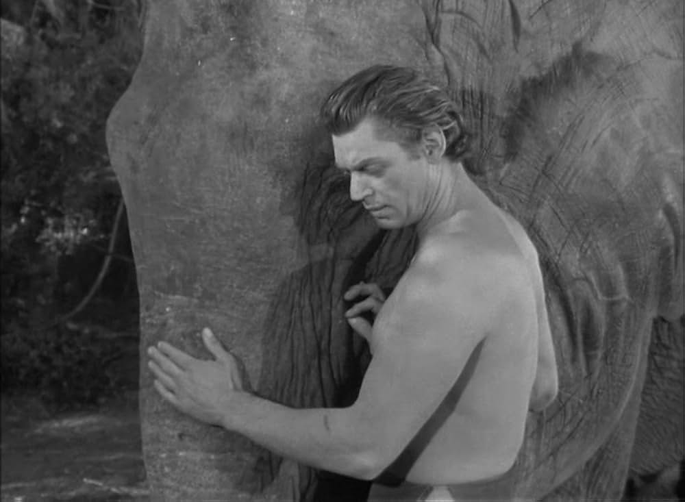 ターザンの猛襲の画像