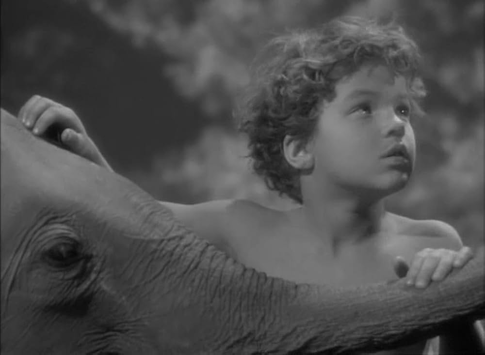 ターザンの猛襲の画像