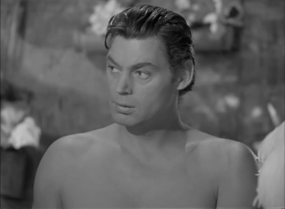 ターザンの猛襲の画像