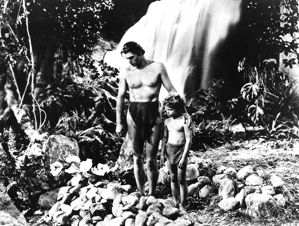 ターザンの猛襲の画像