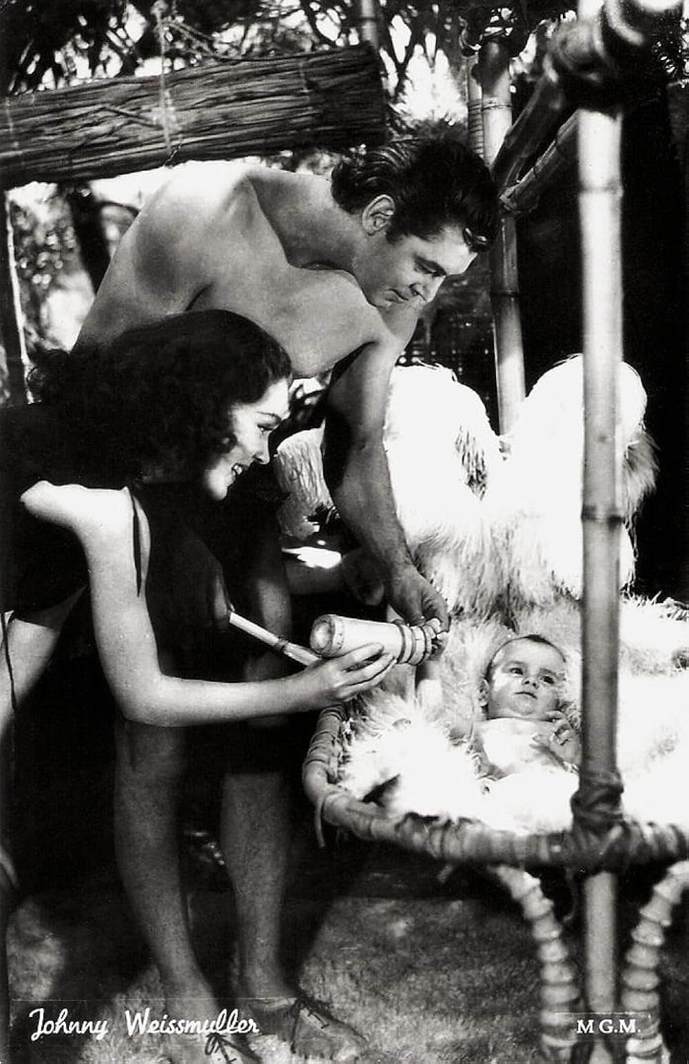 ターザンの猛襲の画像