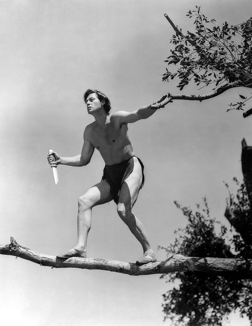 ターザンの猛襲の画像