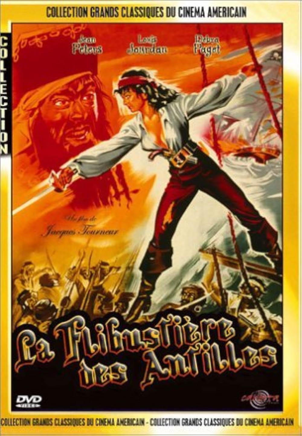 女海賊アンの画像