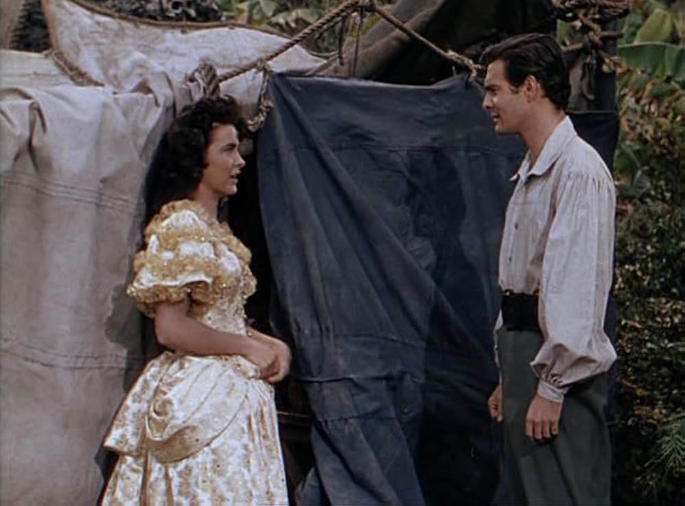 女海賊アンの画像