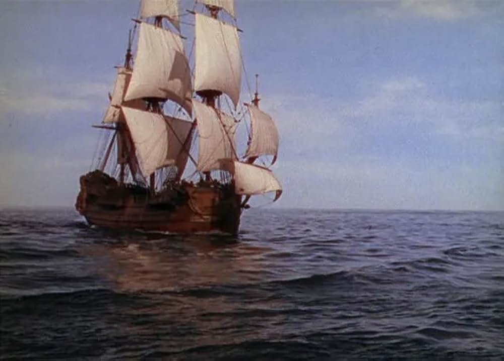 女海賊アンの画像