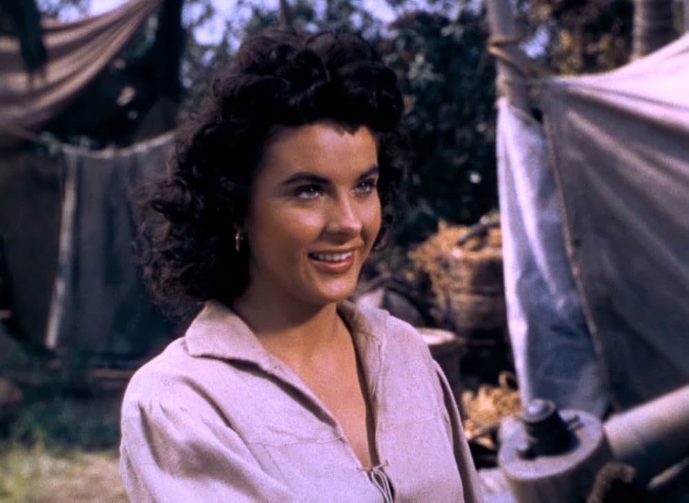 女海賊アンの画像