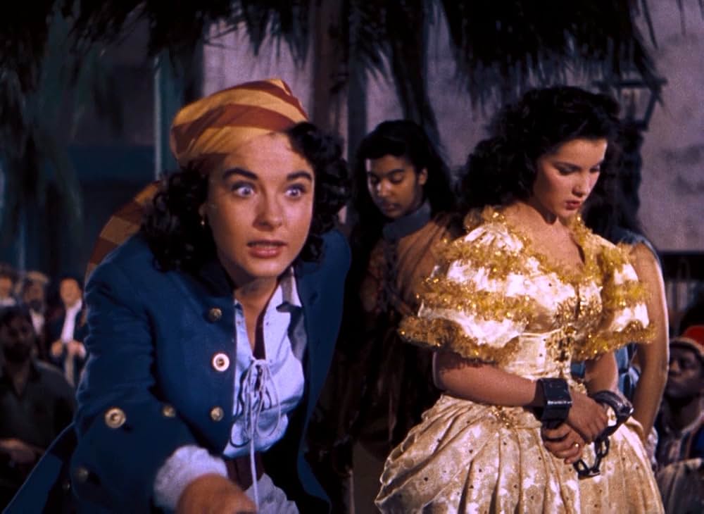 女海賊アンの画像