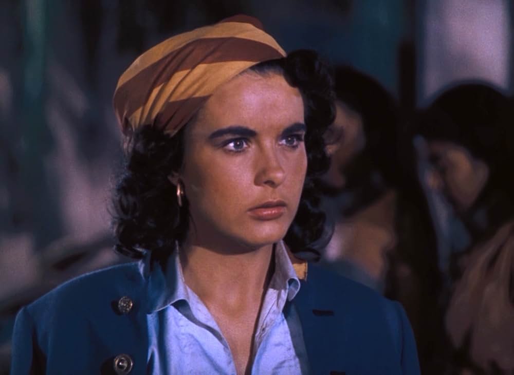 女海賊アンの画像