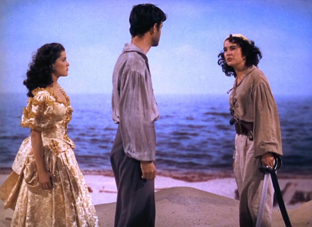 女海賊アンの画像