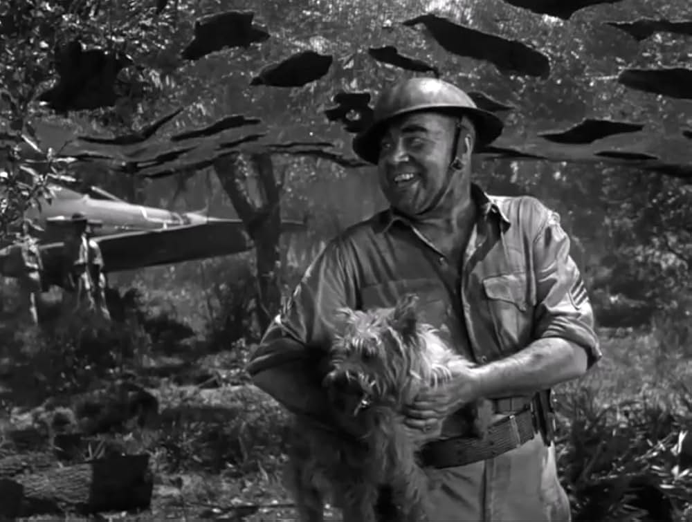 空軍／エア・フォースの画像